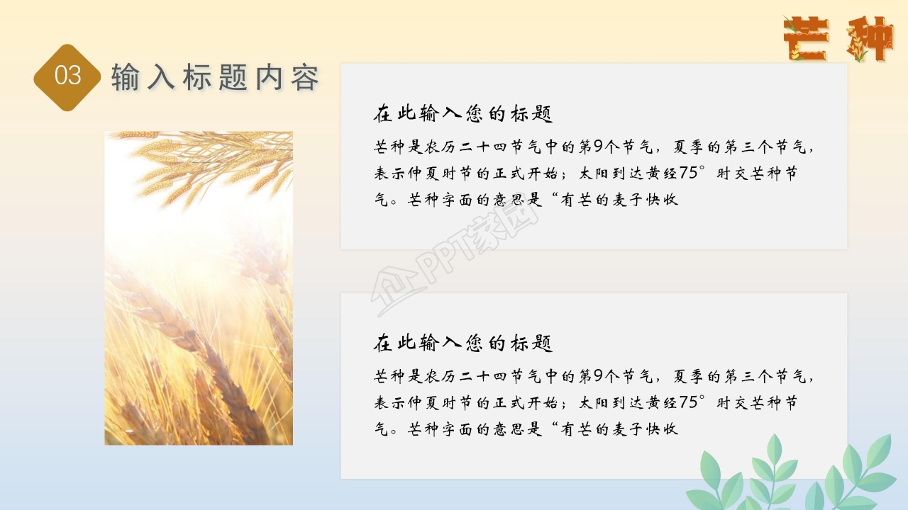 简约风二十四节气芒种通用ppt模板