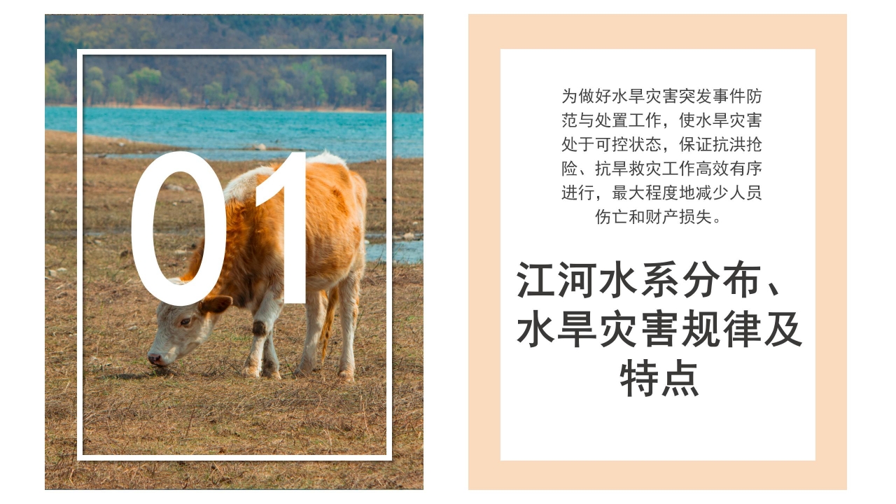 防洪减灾安全知识宣传教育ppt模板