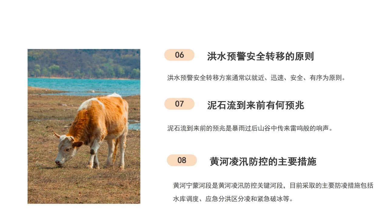 防洪减灾安全知识宣传教育ppt模板