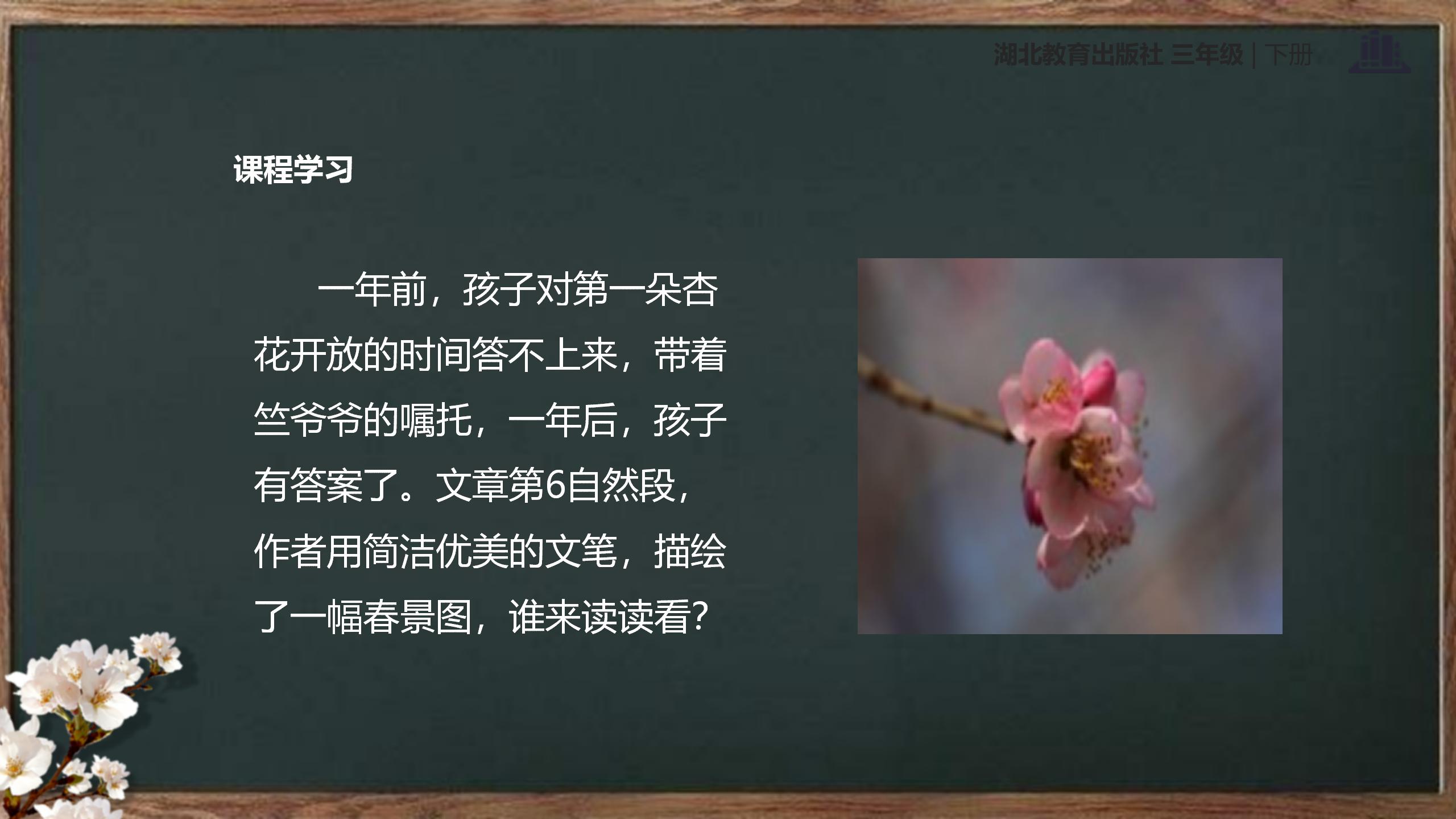 《第一朵杏花》PPT课件3PPT课件下载