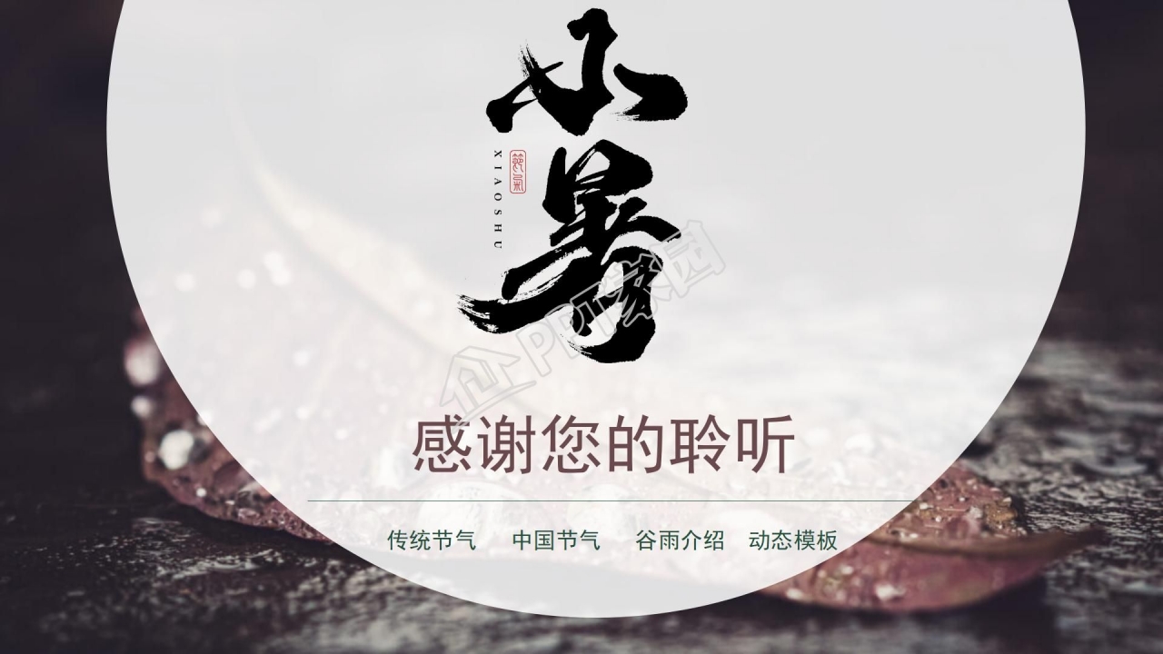 中国传统二十四节气小暑ppt模板
