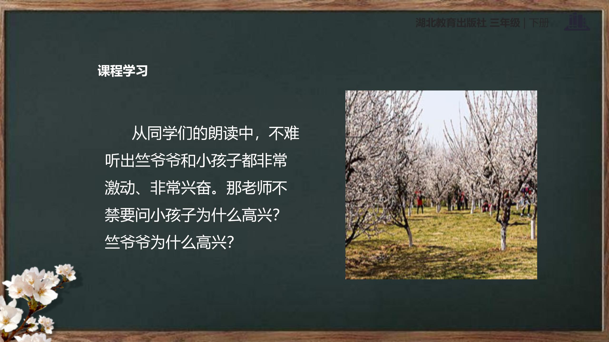 《第一朵杏花》PPT课件3PPT课件下载