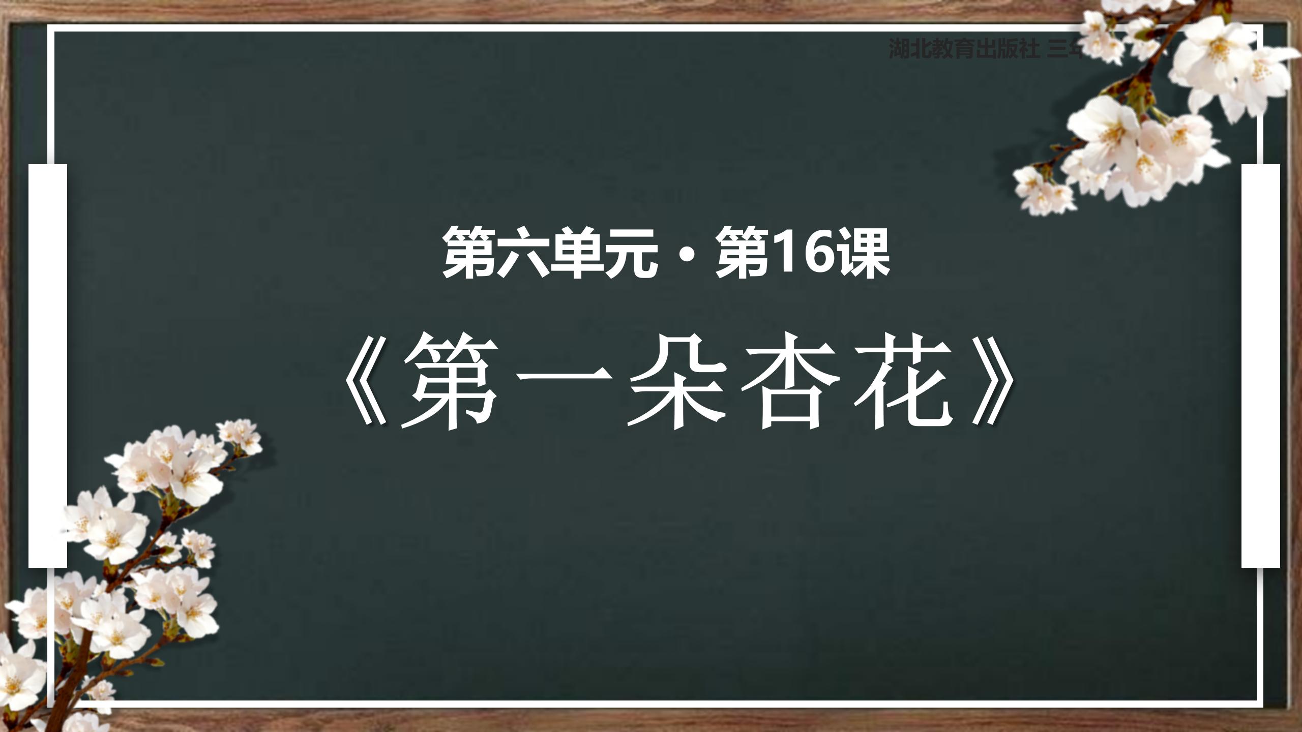 《第一朵杏花》PPT课件3PPT课件下载