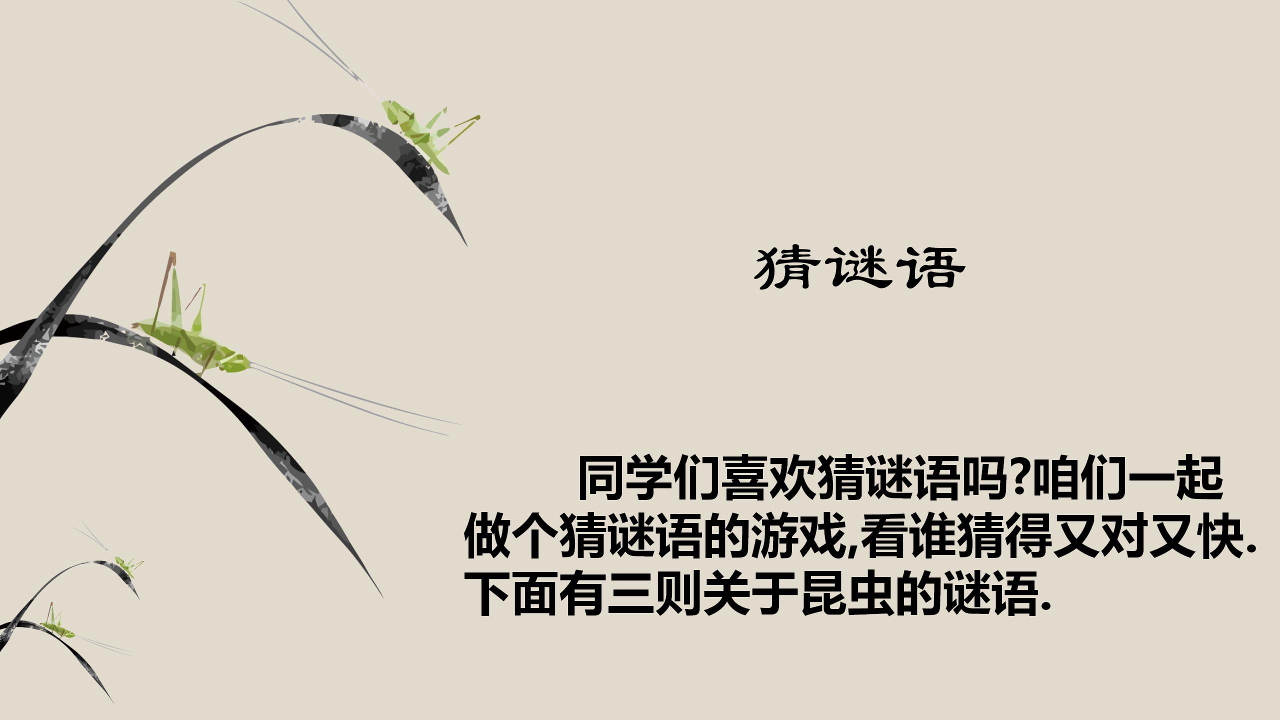 蟋蟀的住宅pptPPT课件下载