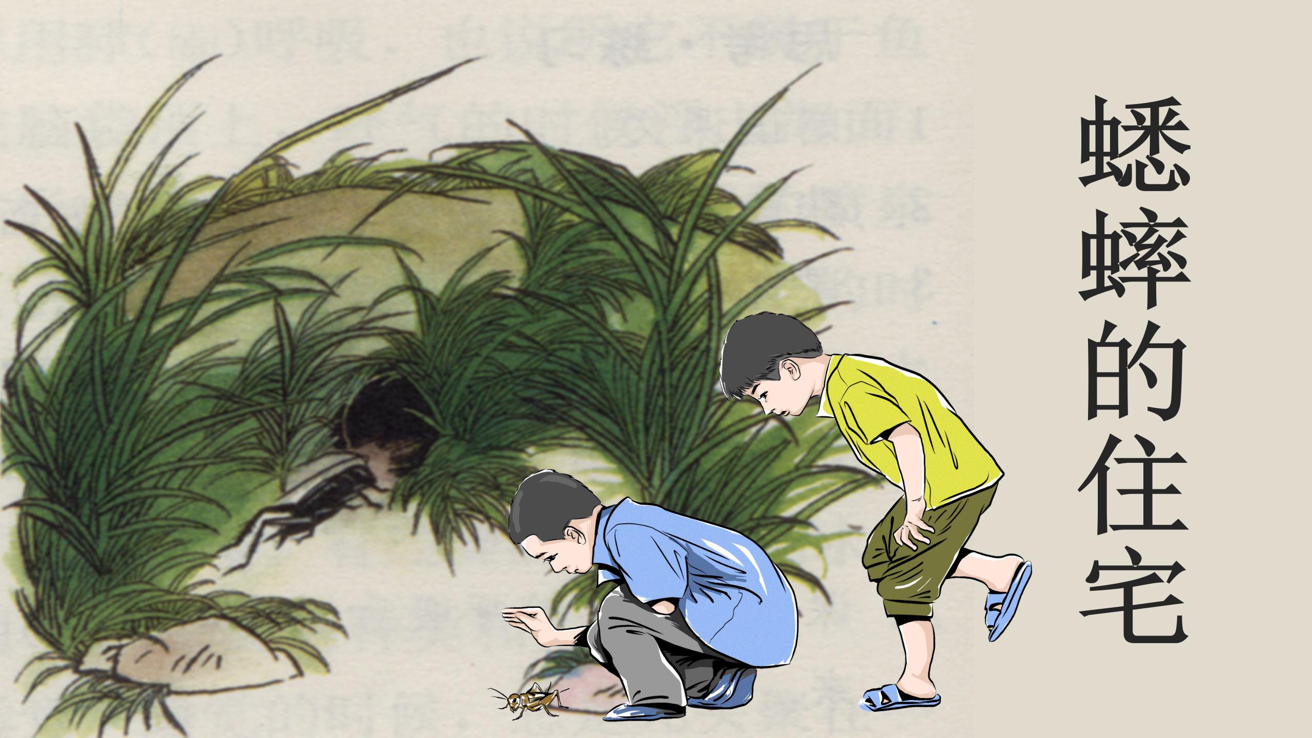 蟋蟀的住宅ppt