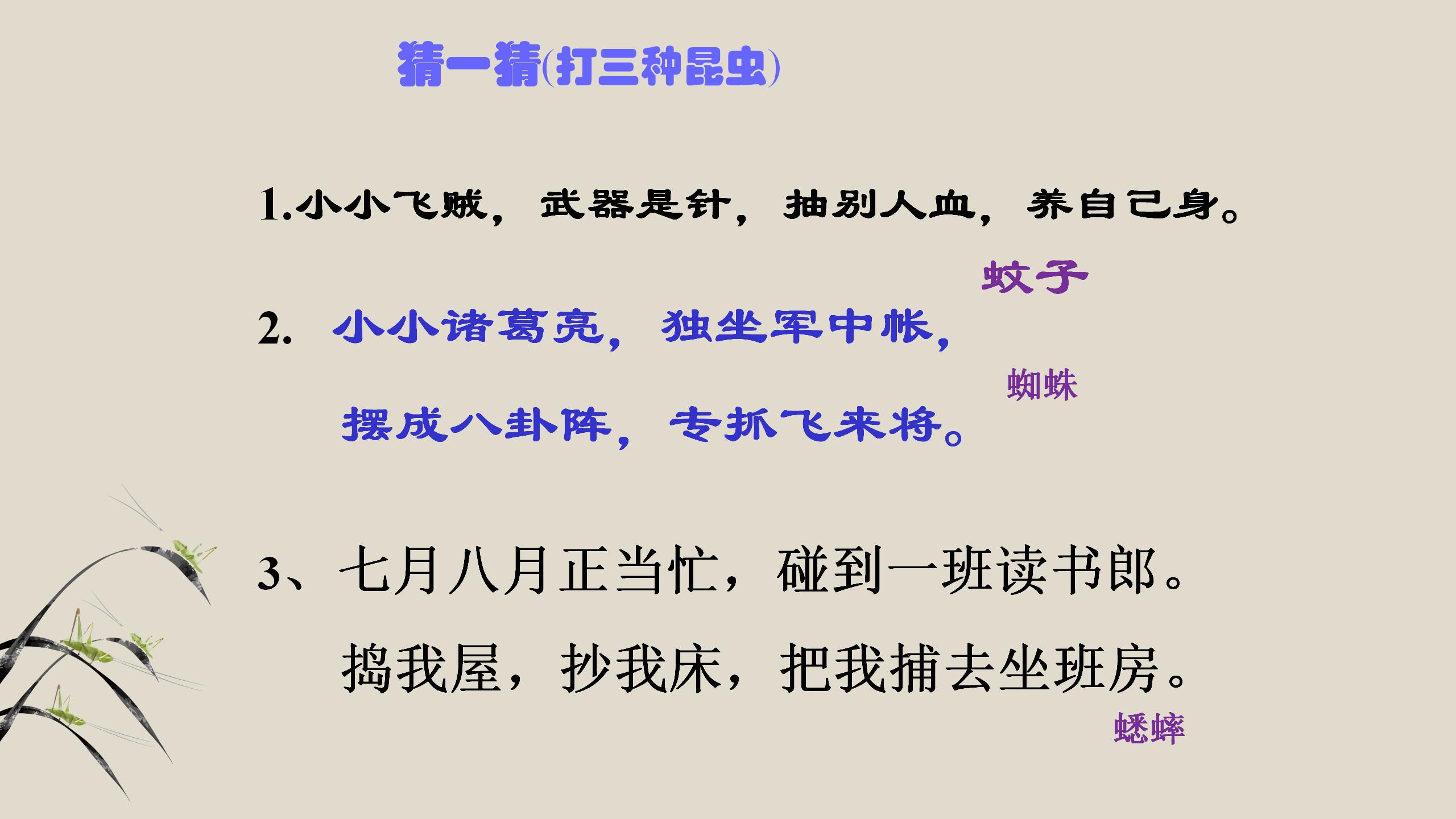 蟋蟀的住宅pptPPT课件下载