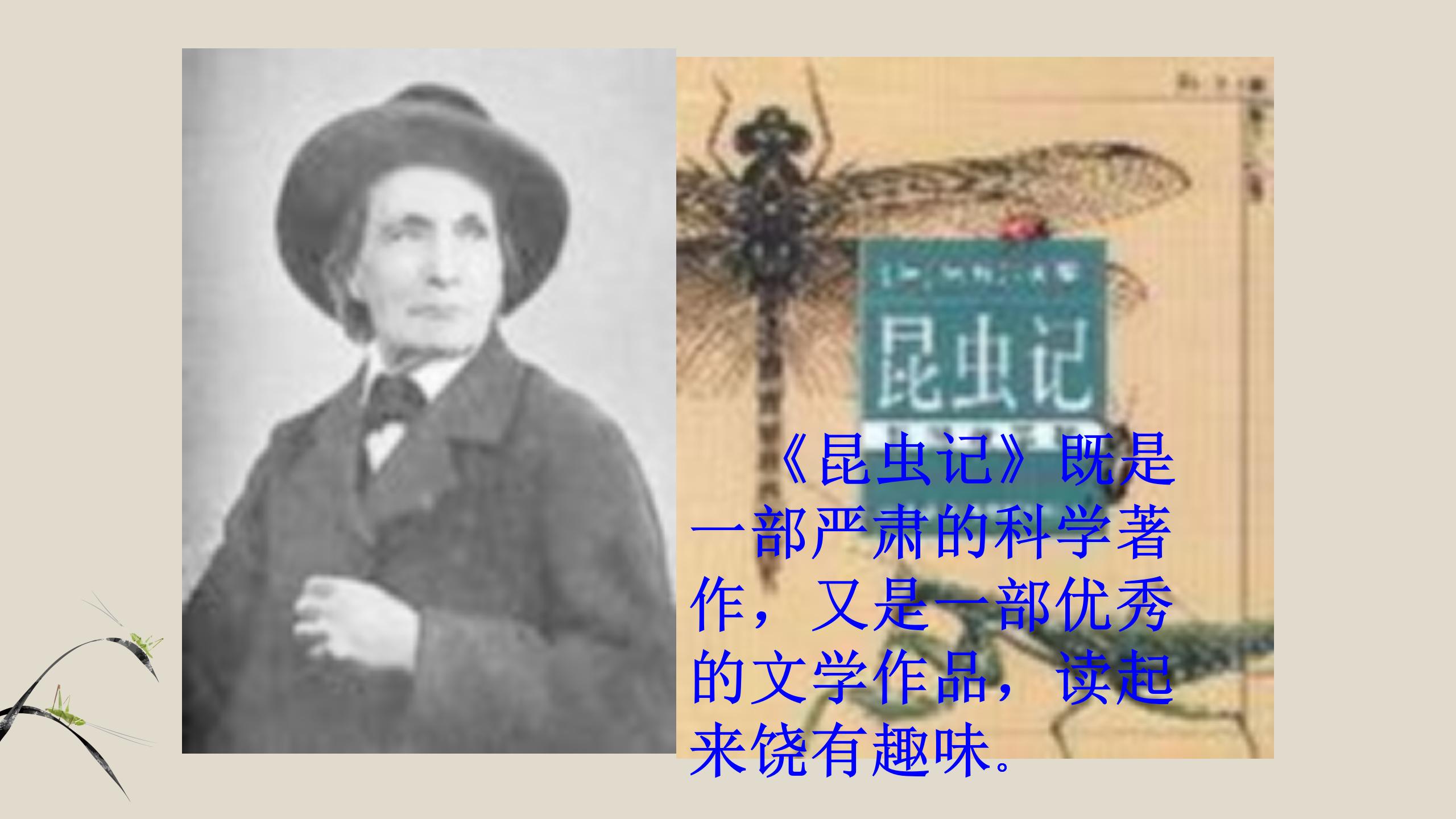 蟋蟀的住宅pptPPT课件下载