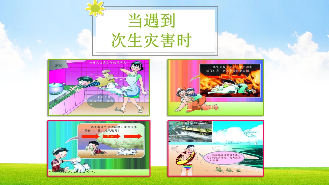 小学生防震减灾应急知识宣传展示ppt模板