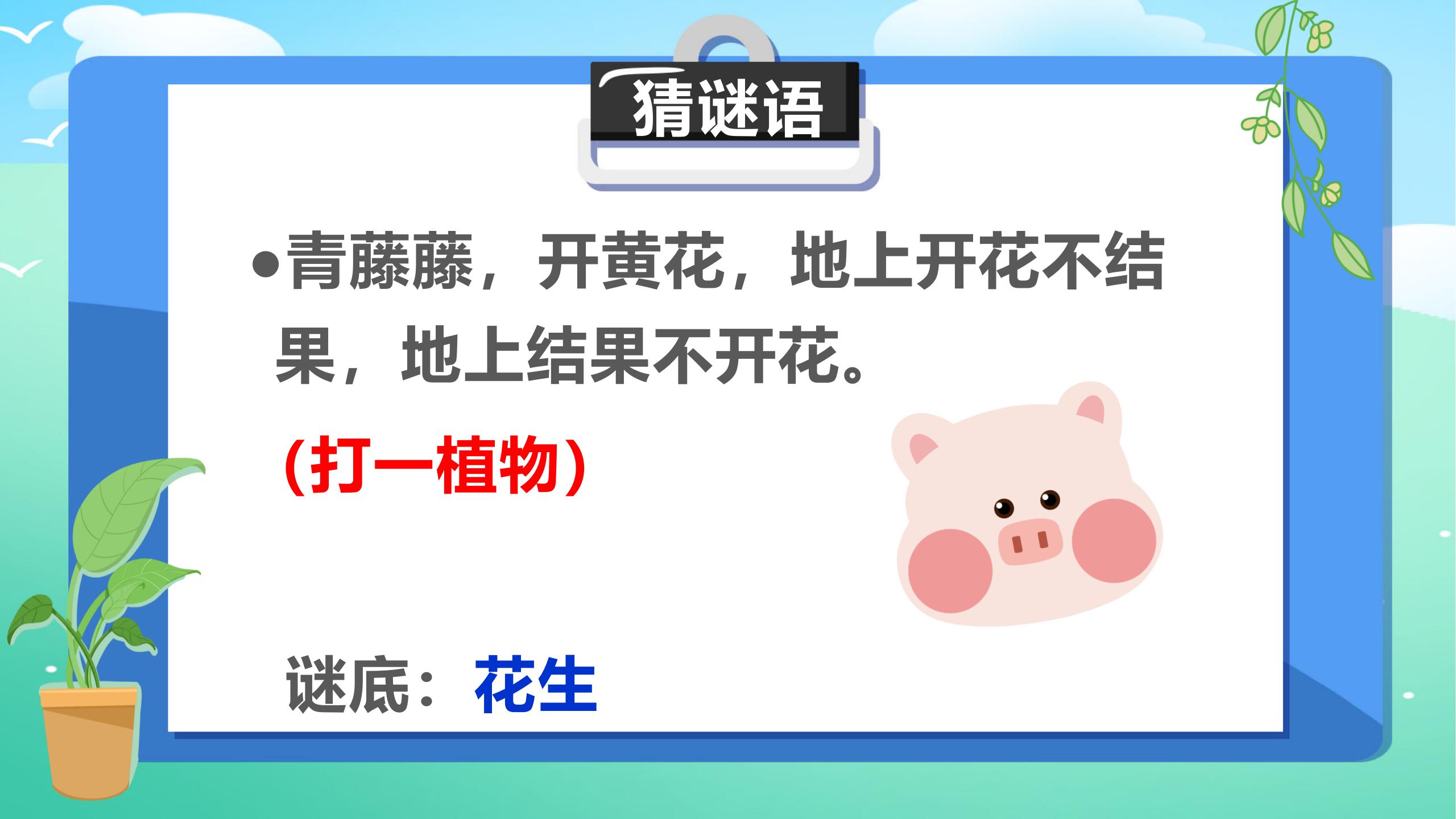 落花生优秀pptPPT课件下载