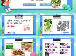 落花生优秀ppt模板下载推荐
