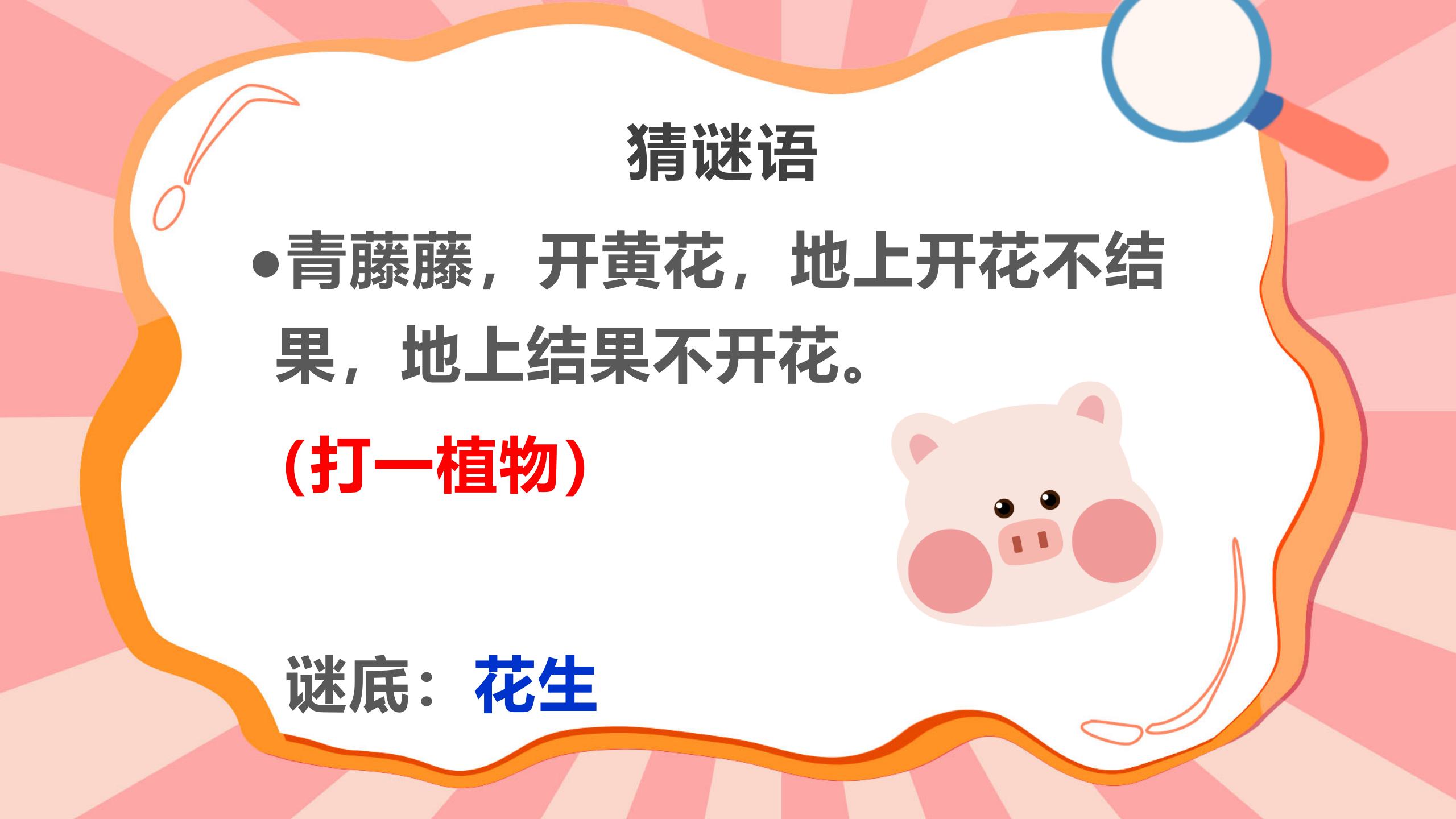 《落花生》flash动画课件下载PPT课件下载