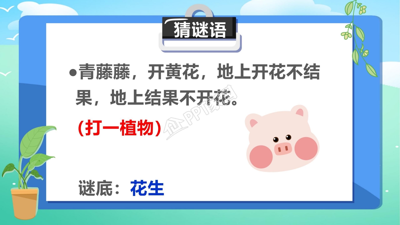 落花生优秀ppt模板