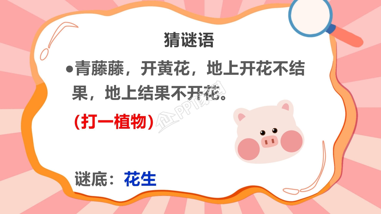 课件落花生ppt模板