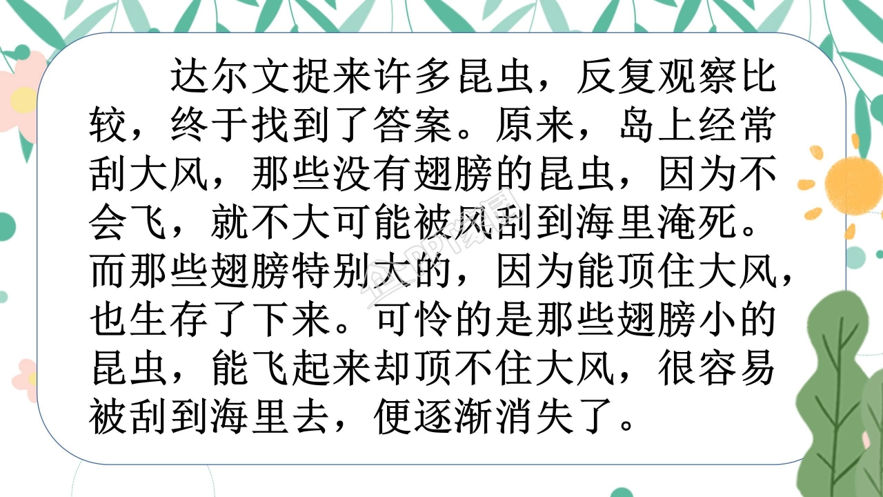 有趣的发现ppt课件模板