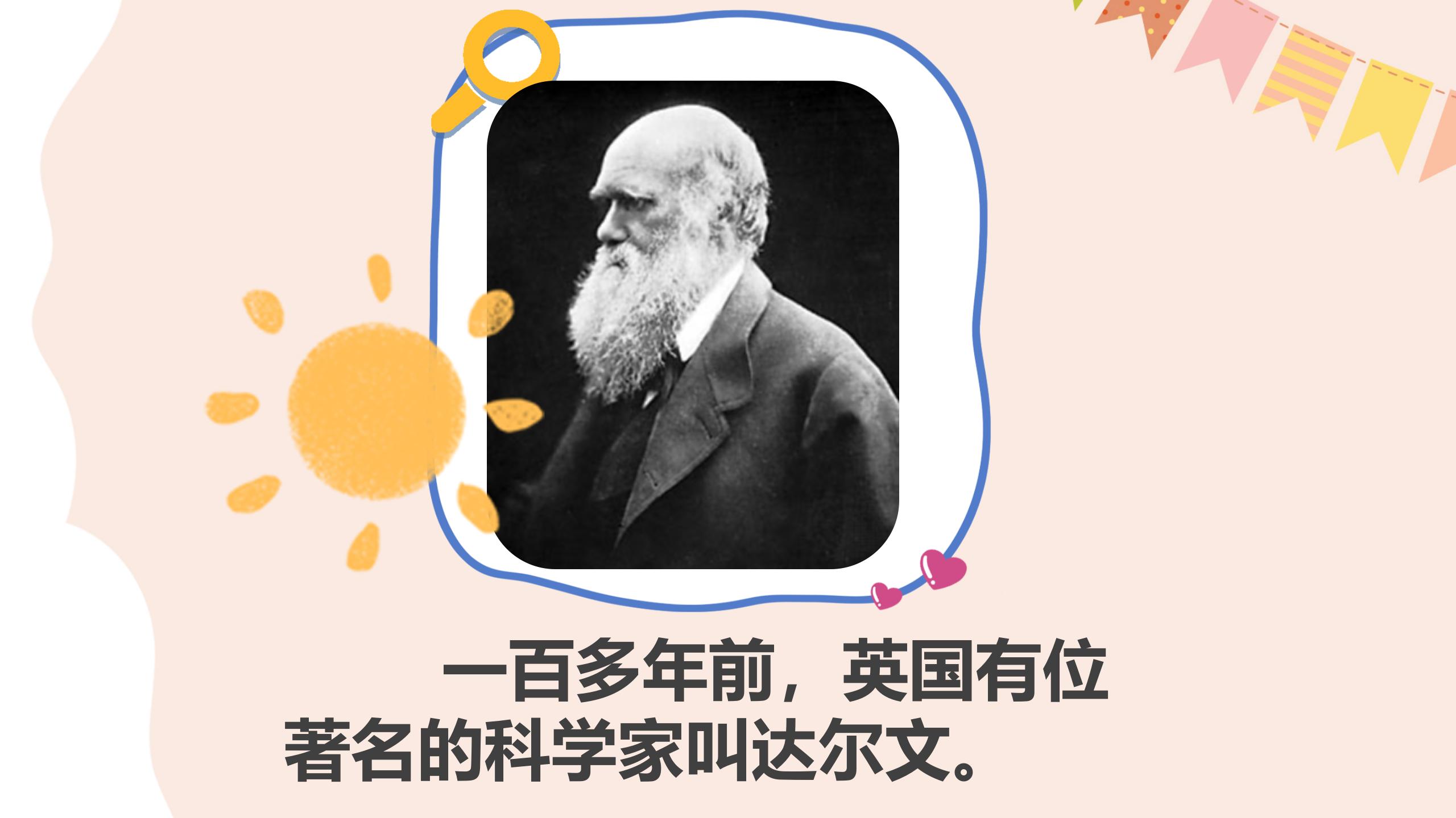 《有趣的发现》PPT课件PPT课件下载