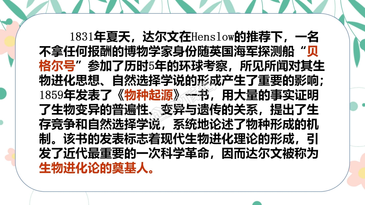 有趣的发现ppt课件模板