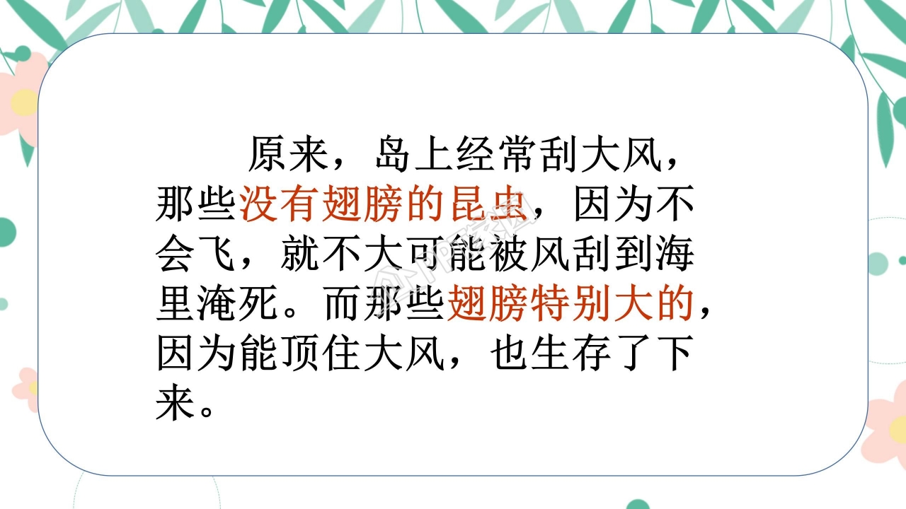 有趣的发现ppt课件模板