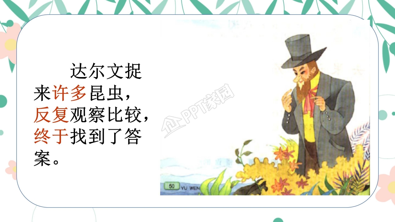 有趣的发现ppt课件模板