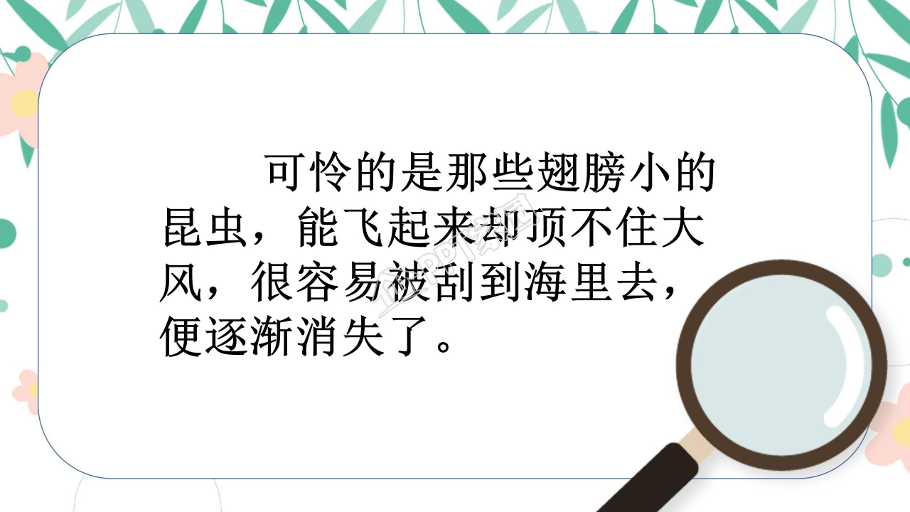 有趣的发现ppt课件模板