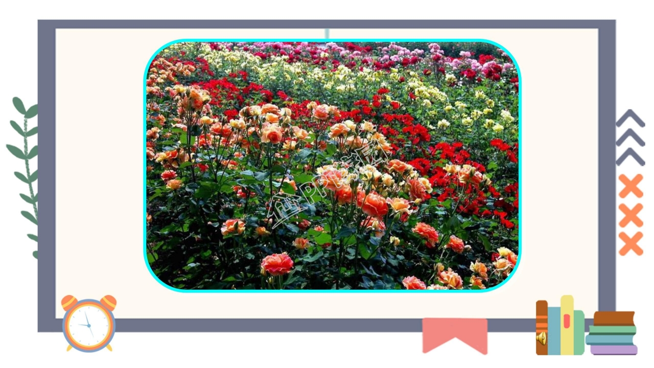 苏教版三年级语文上册金子ppt课件