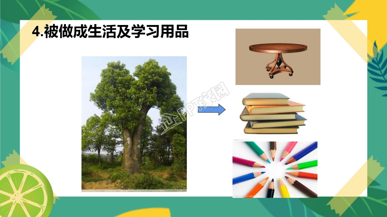 生物多样性的意义ppt课件模板