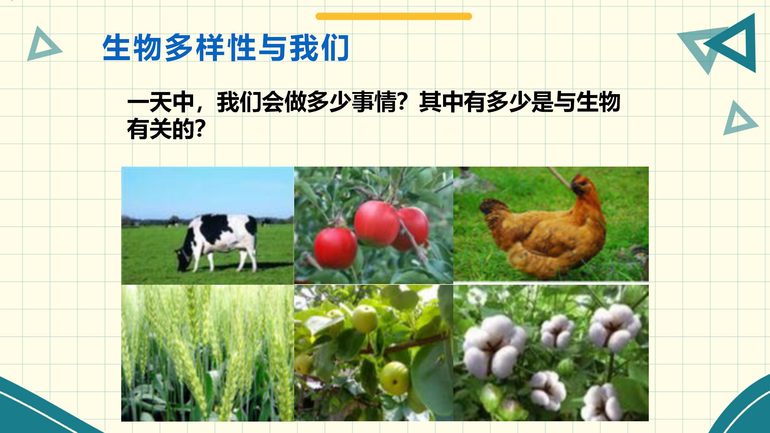 《生物多样性的意义》生物的多样性PPT课件PPT课件下载