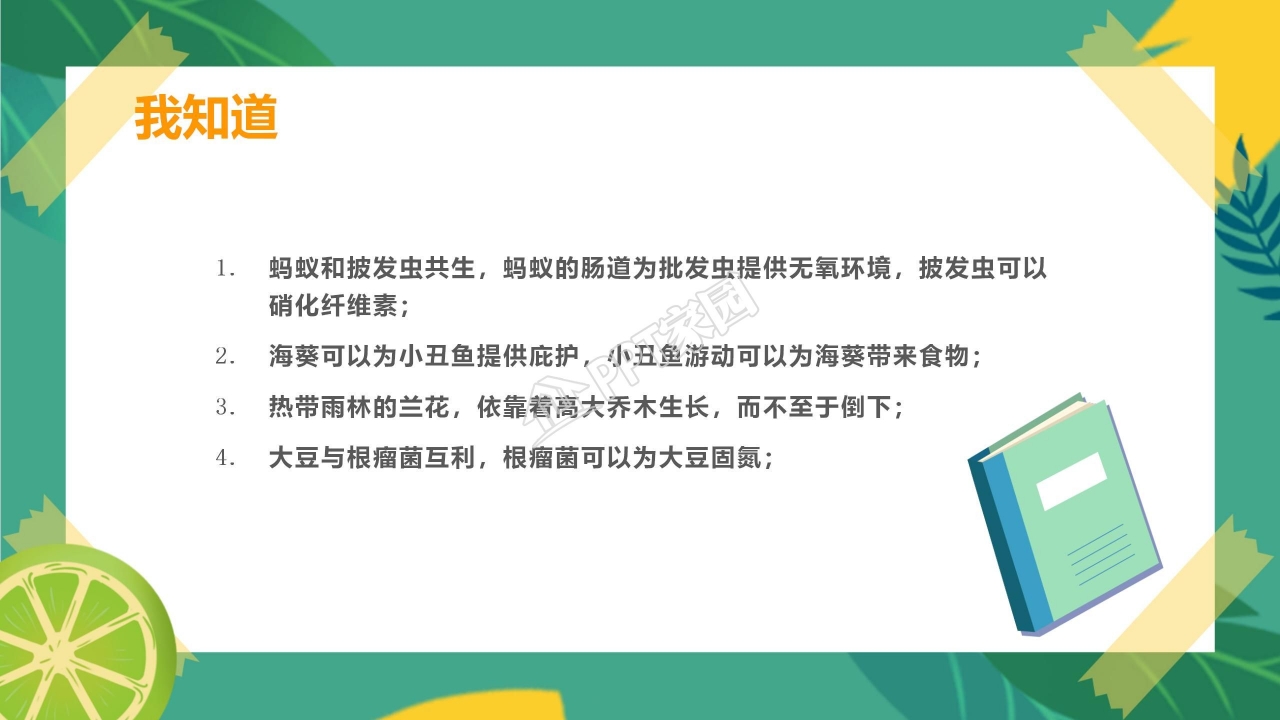 生物多样性的意义ppt课件模板