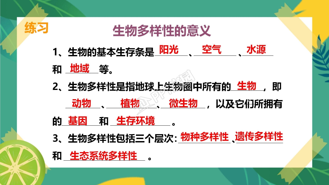 生物多样性的意义ppt课件模板