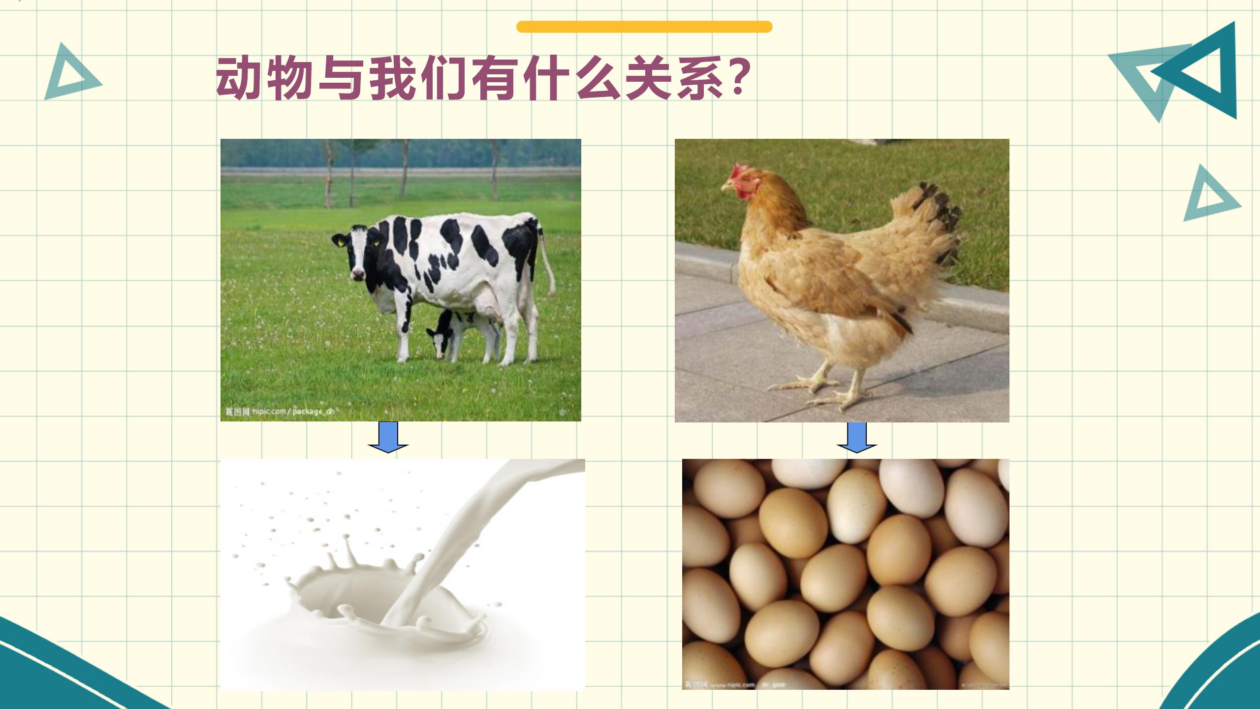 《生物多样性的意义》生物的多样性PPT课件PPT课件下载