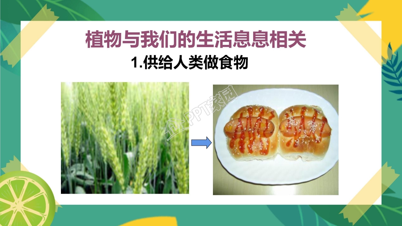 生物多样性的意义ppt课件模板