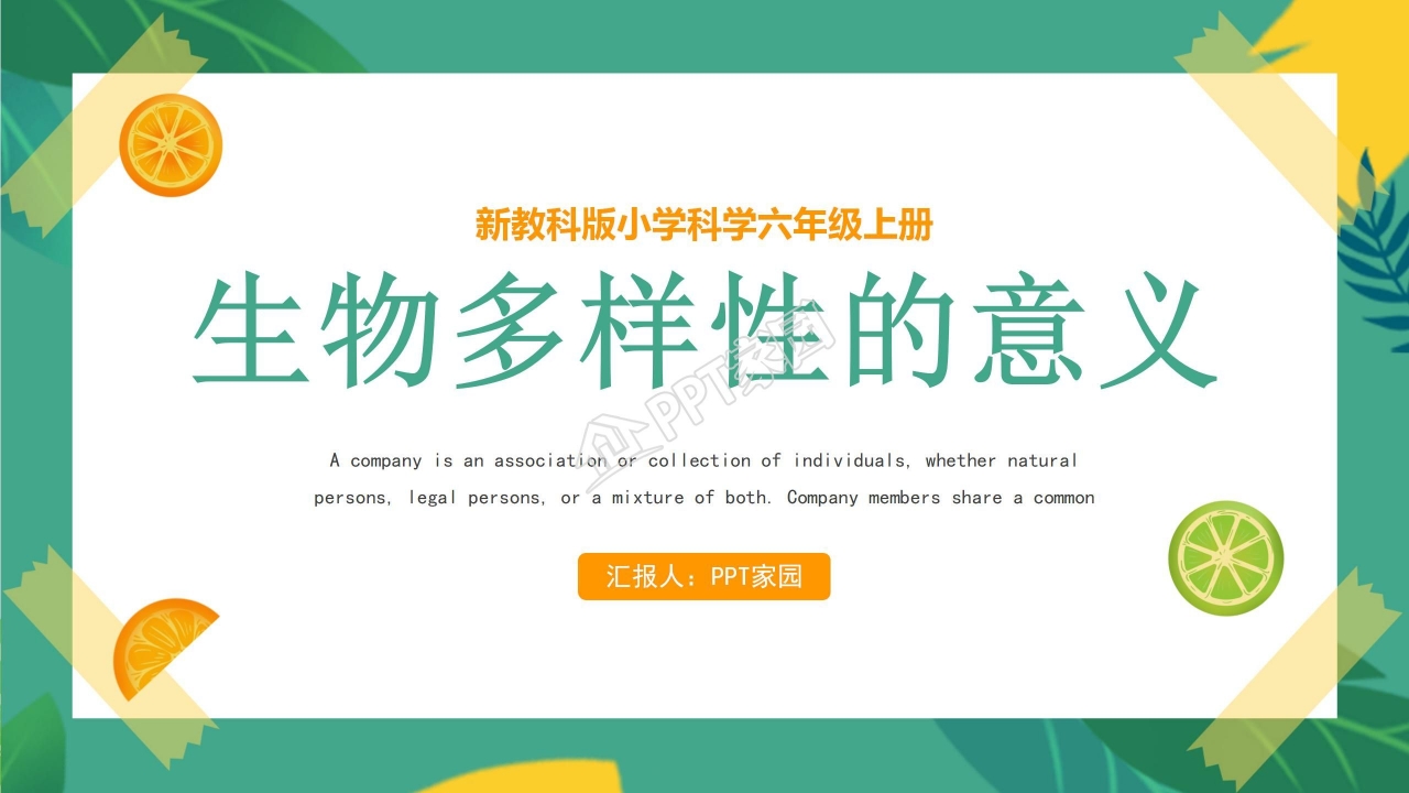 生物多样性的意义ppt课件模板
