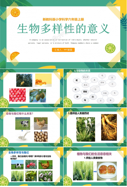 生物多样性的意义ppt课件模板