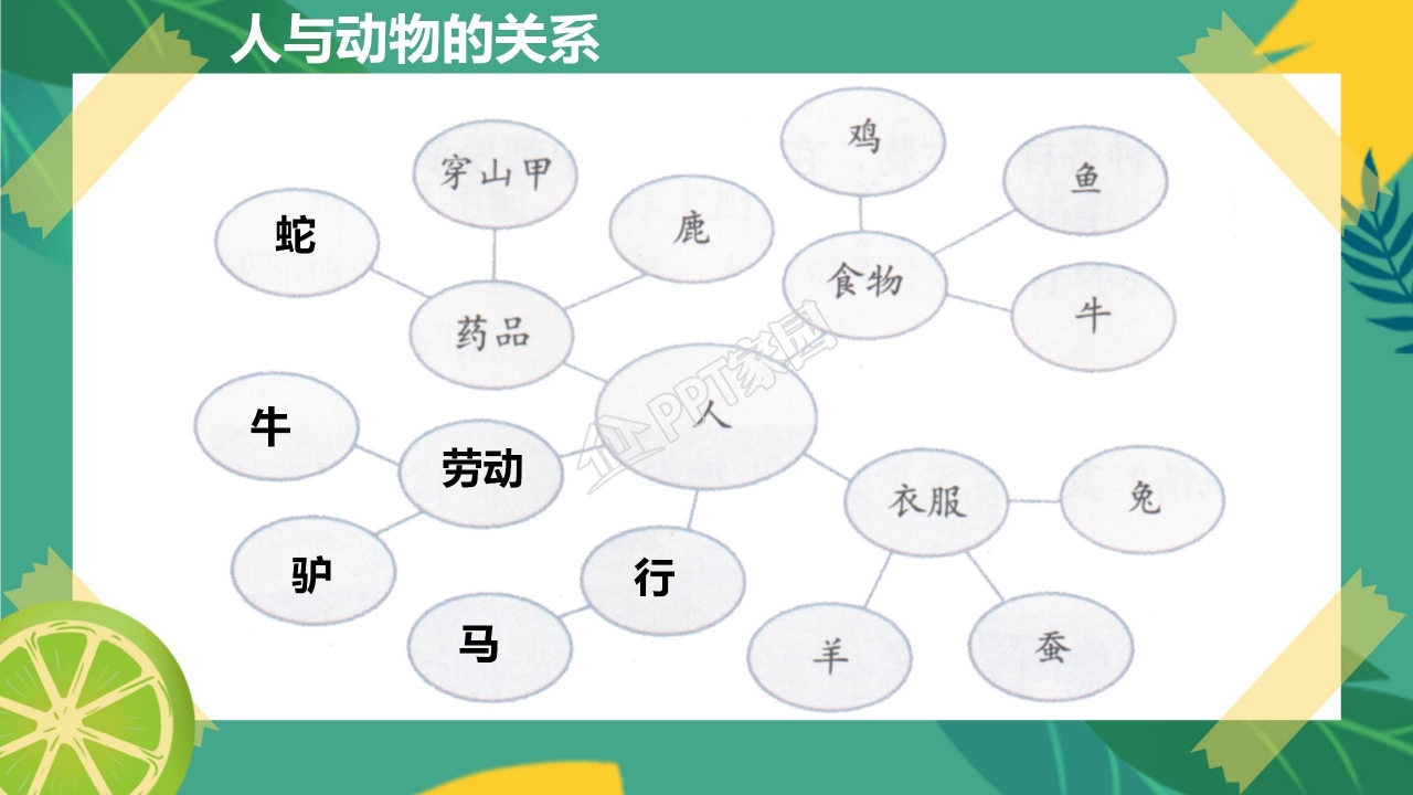 生物多样性的意义ppt课件模板