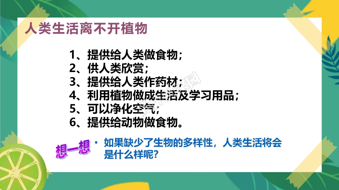 生物多样性的意义ppt课件模板
