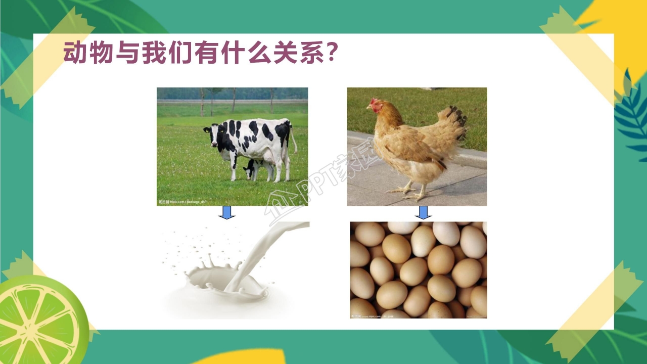 生物多样性的意义ppt课件模板