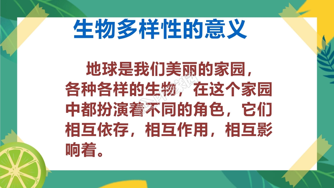 生物多样性的意义ppt课件模板