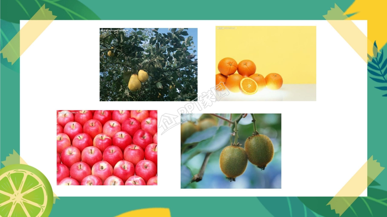 生物多样性的意义ppt课件模板