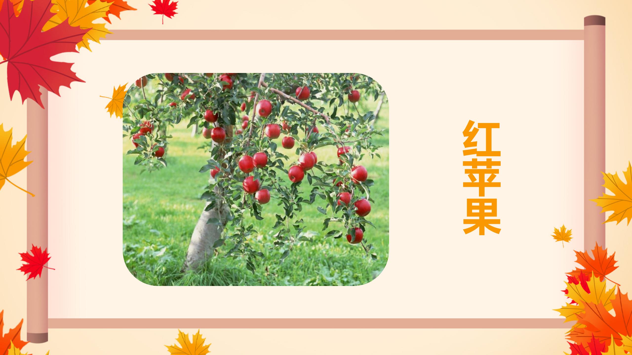 《秋天向我们微笑》PPT课件3PPT课件下载