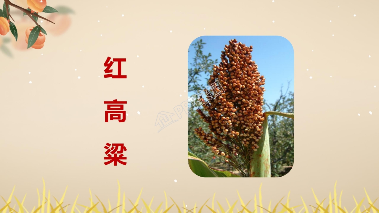 四年级语文上册秋天向我们微笑ppt课件模板