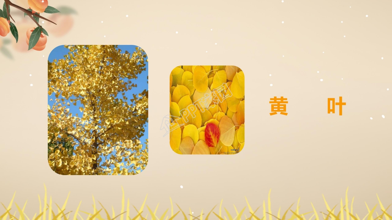 四年级语文上册秋天向我们微笑ppt课件模板