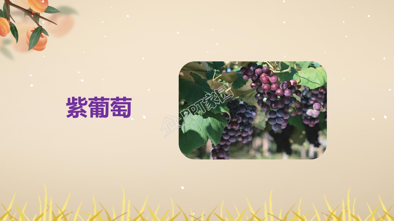 四年级语文上册秋天向我们微笑ppt课件模板