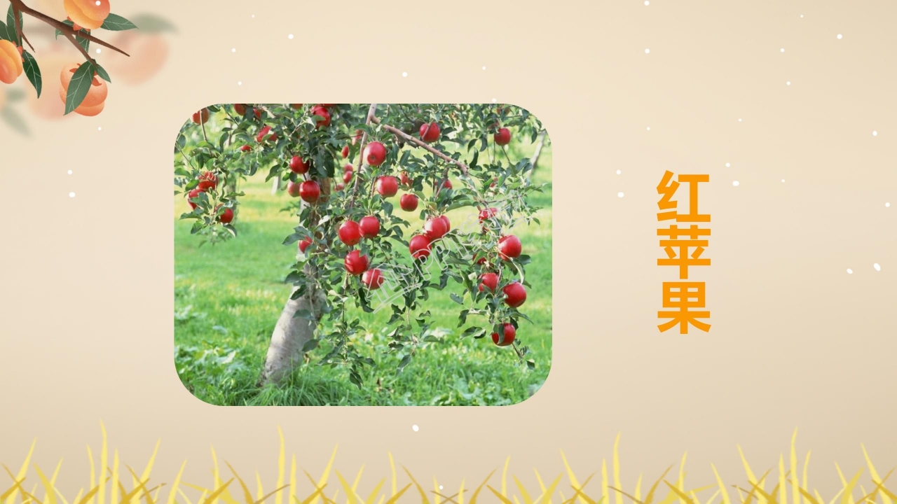 四年级语文上册秋天向我们微笑ppt课件模板