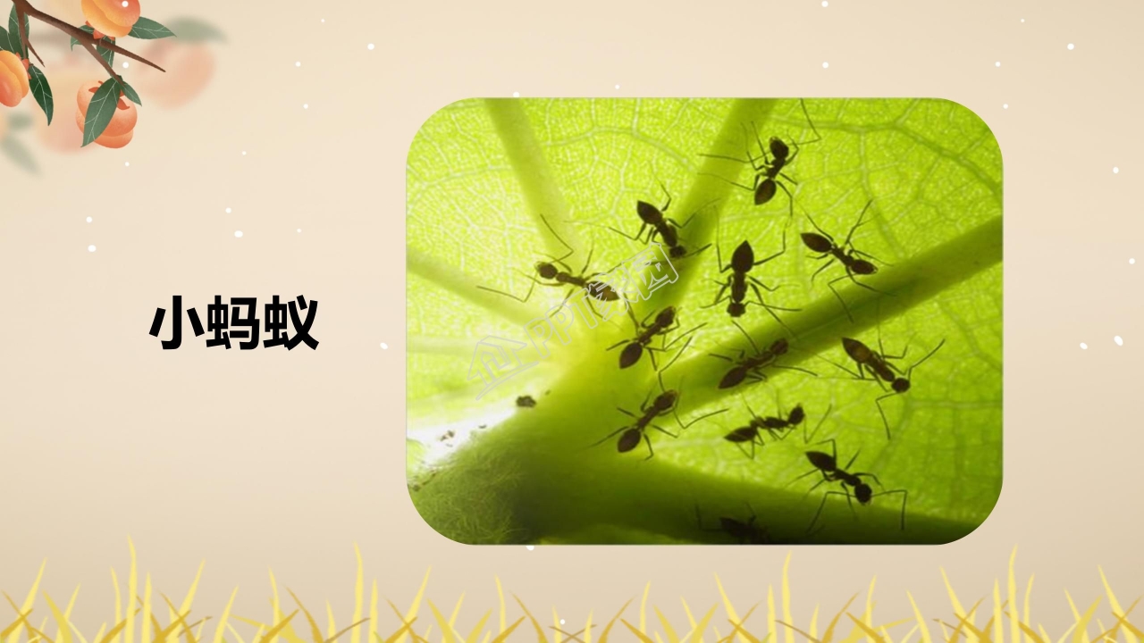 四年级语文上册秋天向我们微笑ppt课件模板