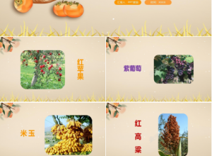 四年级语文上册秋天向我们微笑ppt课件模板下载推荐