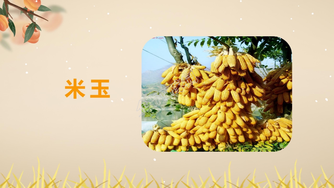 四年级语文上册秋天向我们微笑ppt课件模板