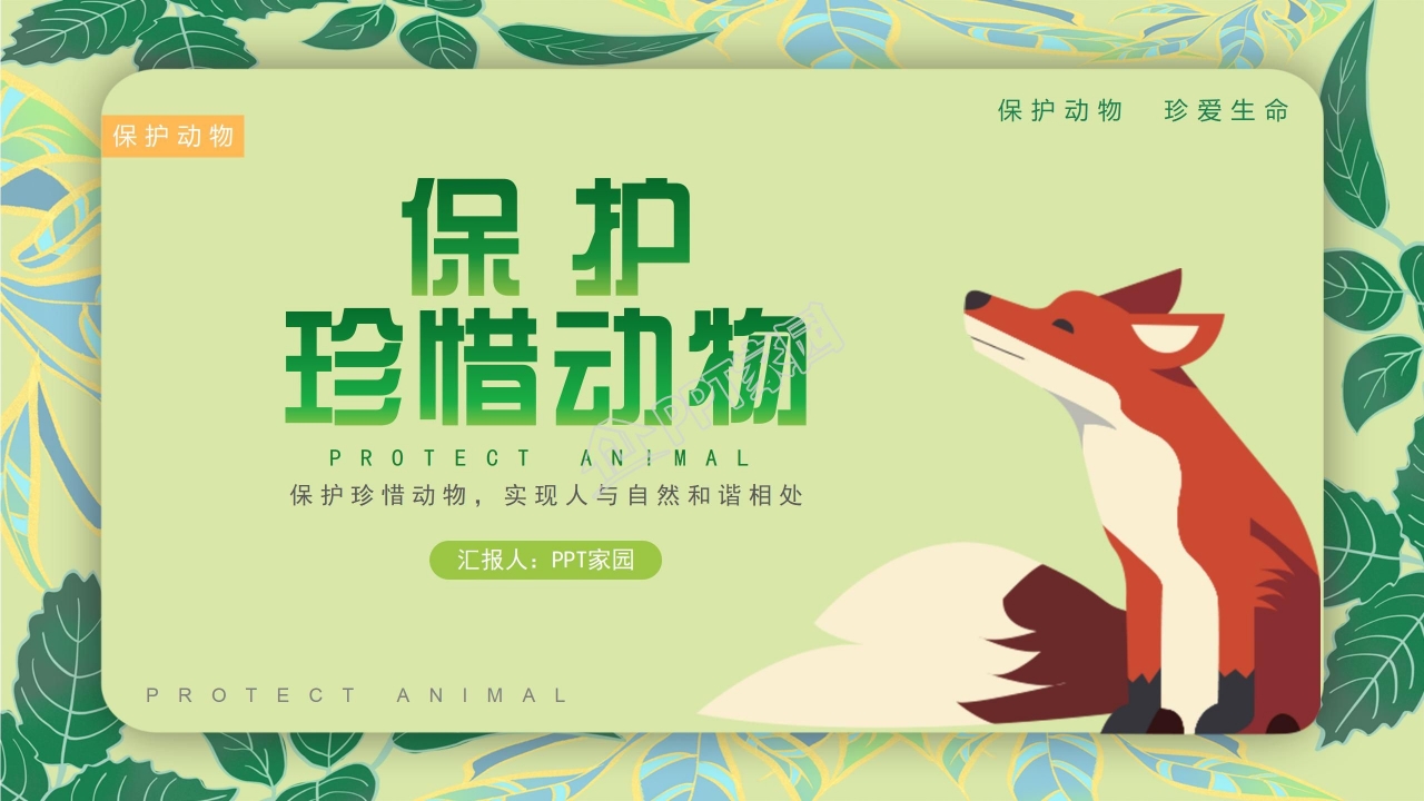 珍稀动物的保护ppt模板