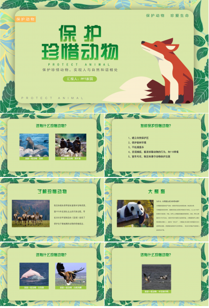 珍稀动物的保护ppt模板