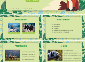 珍稀动物的保护ppt模板下载推荐