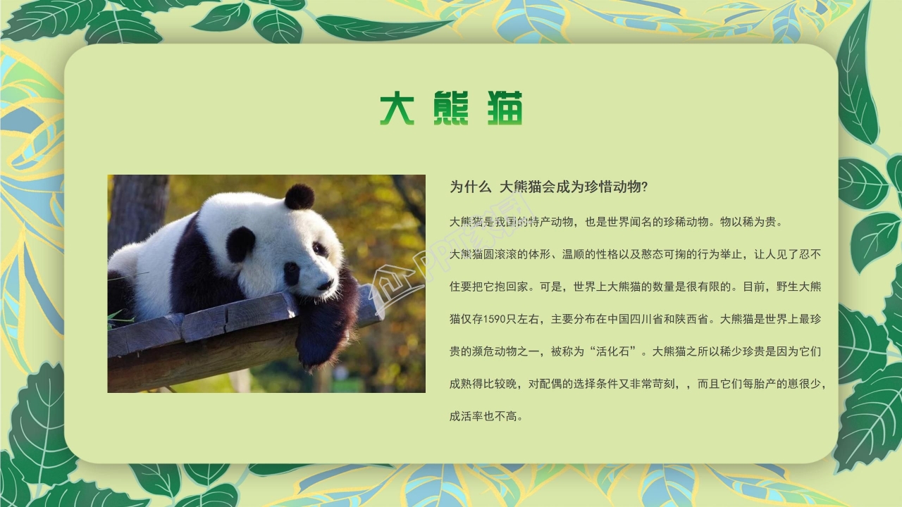 珍稀动物的保护ppt模板