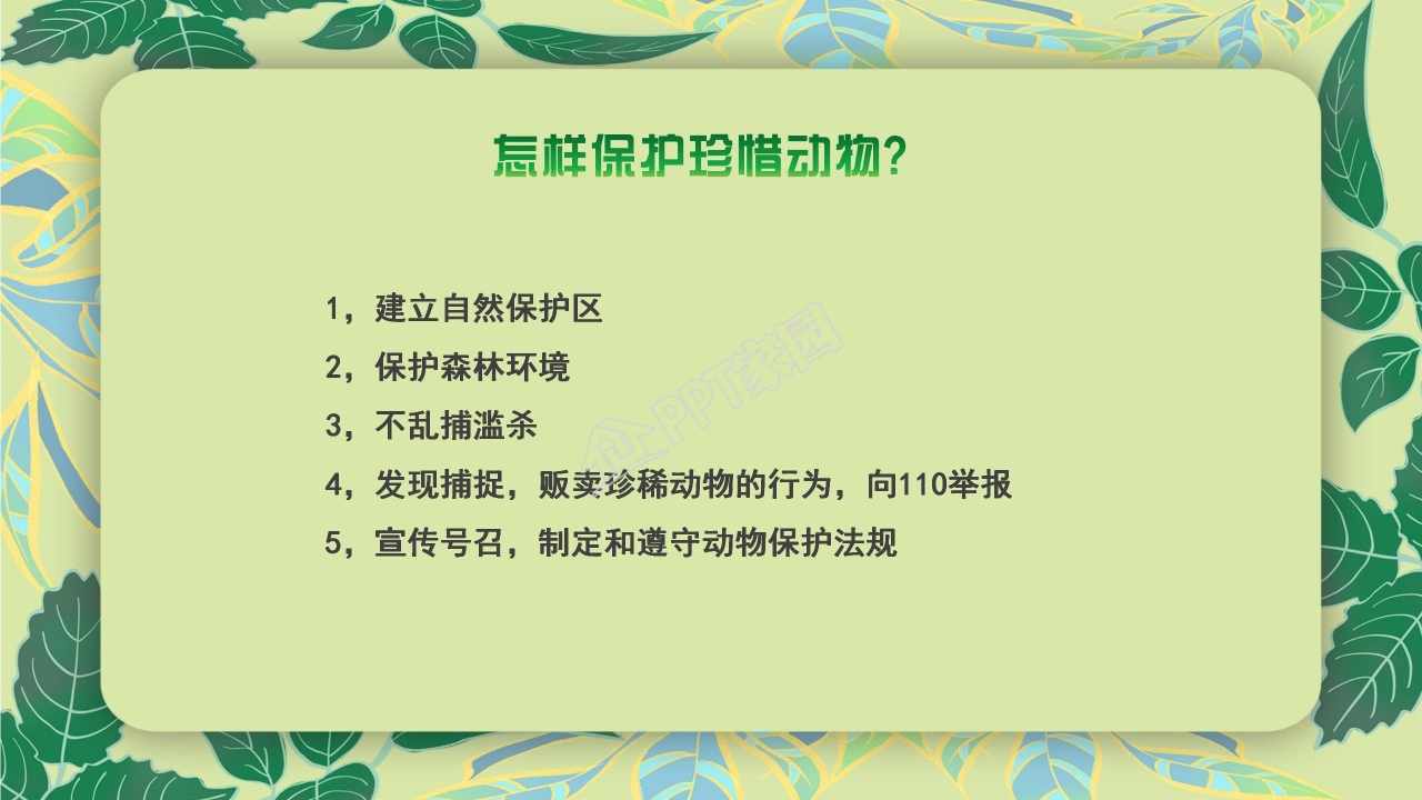 珍稀动物的保护ppt模板